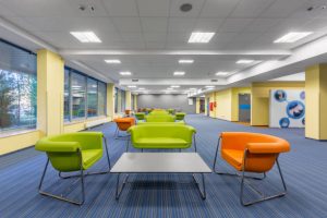 Fibre Ceiling